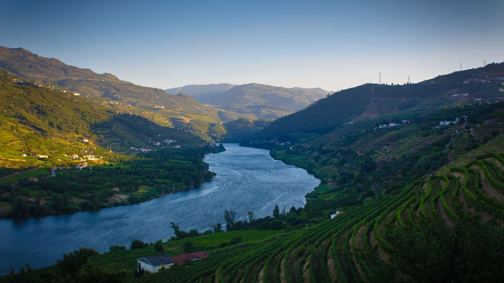 River at dusk in Douro Valley