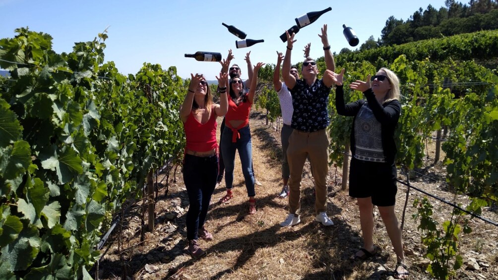 Small-Group Douro Valley with Wine Tasting and Lunch