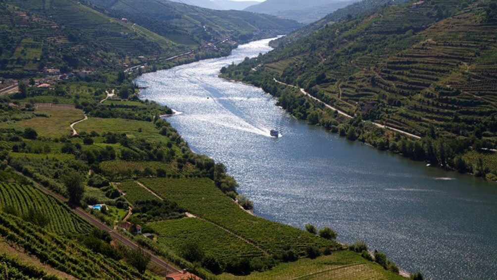 Boat on river in Douro Valley