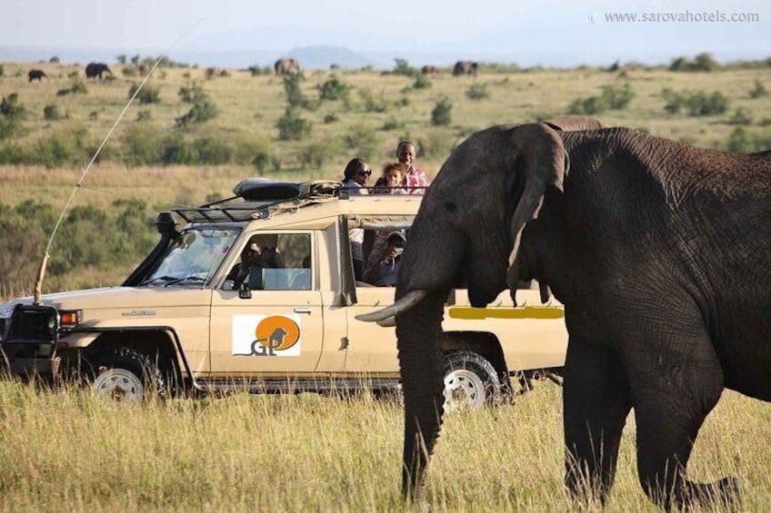 3-Days Masai Mara Private Safari Combined with Hot Air Balloon Ride Experience