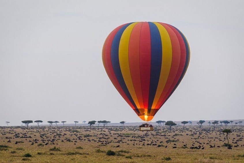 3-Days Masai Mara Private Safari Combined with Hot Air Balloon Ride Experience