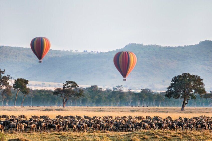 3-Days Masai Mara Private Safari Combined with Hot Air Balloon Ride Experience