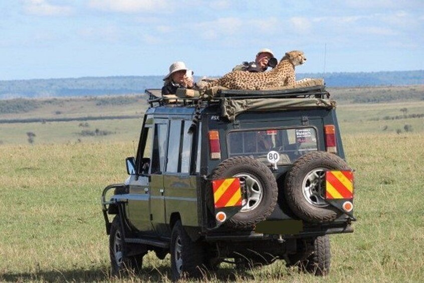 3-Days Masai Mara Private Safari Combined with Hot Air Balloon Ride Experience