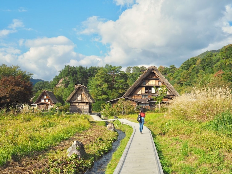 From Nagoya: Gujo Hachiman & Shirakawago Bus Tour with Lunch