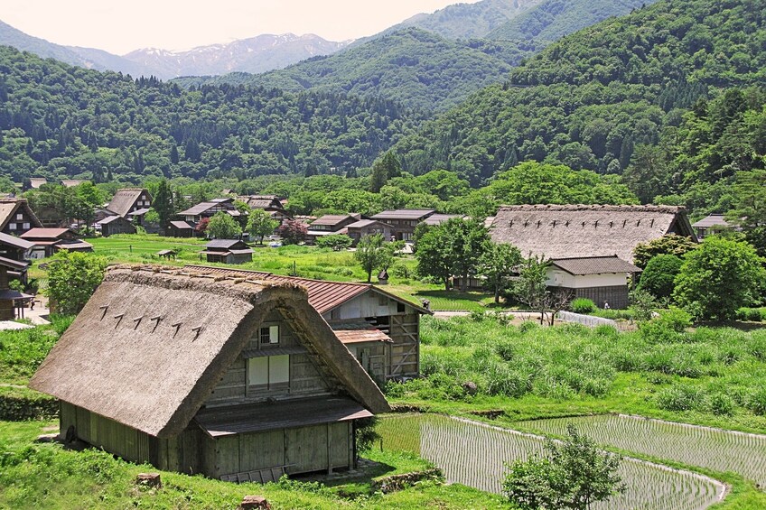 From Nagoya: Hida Takayama & World Heritage Shirakawa-go Day Tour