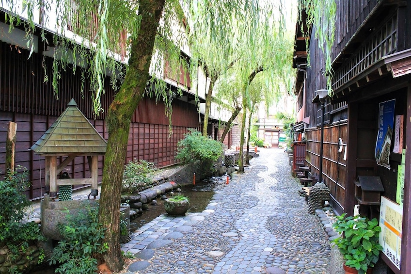 From Nagoya: Gujo Hachiman & Shirakawago Bus Tour with Lunch