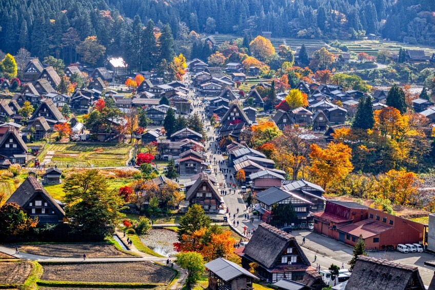 From Nagoya: Takayama & Shirakawago Bus Tour 