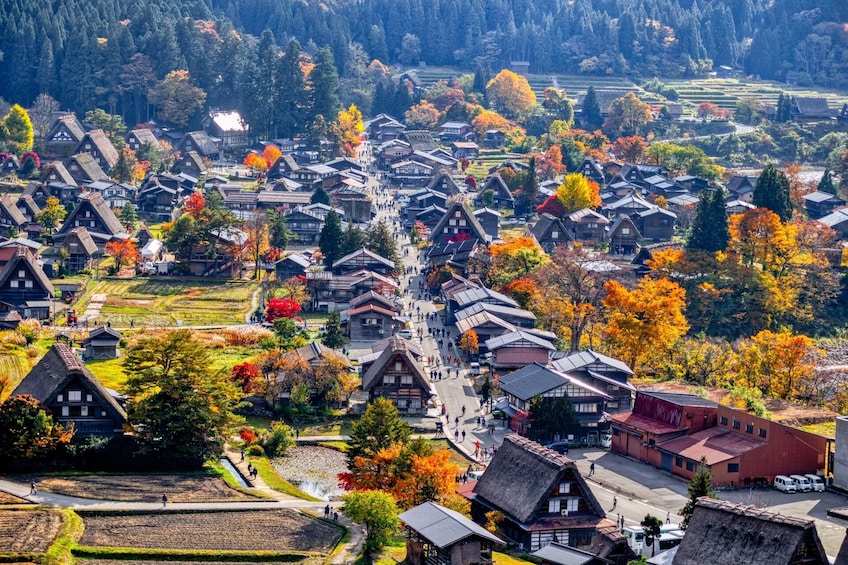 From Nagoya: Takayama & Shirakawago Bus Tour