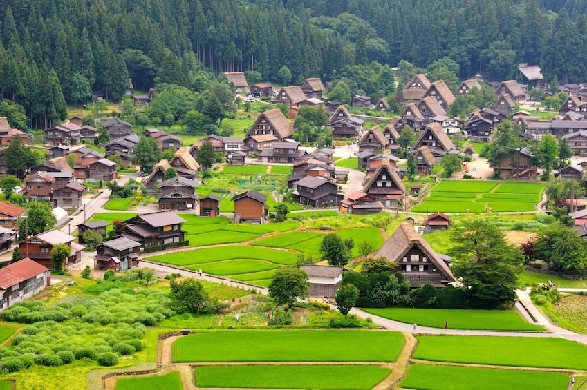 From Nagoya: Gujo Hachiman & Shirakawago Bus Tour with Lunch