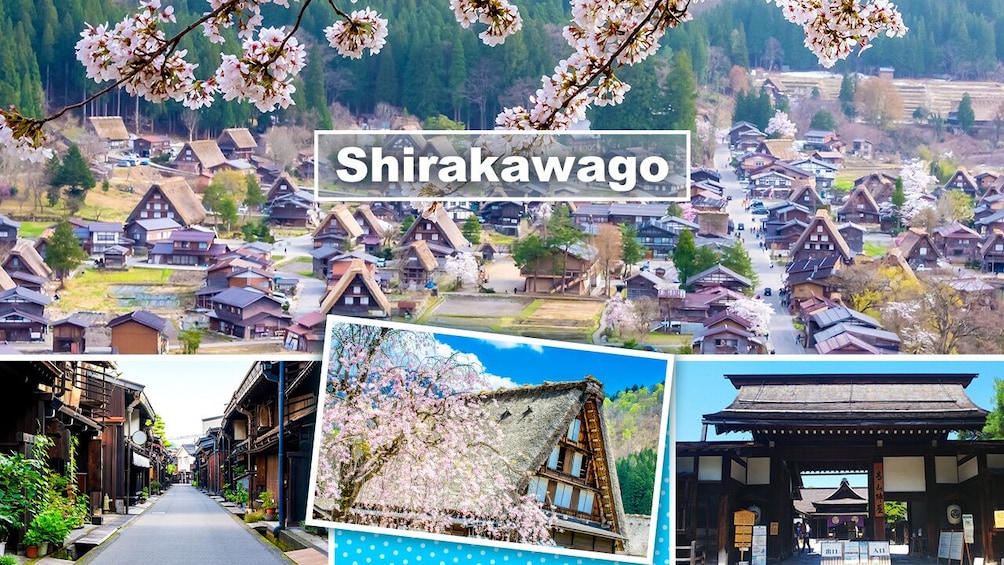 From Nagoya: Hida Takayama & World Heritage Shirakawa-go Day Tour