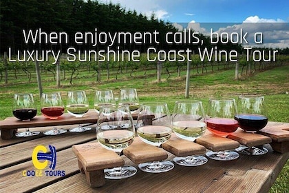 Sunshine Coast Wine Safari