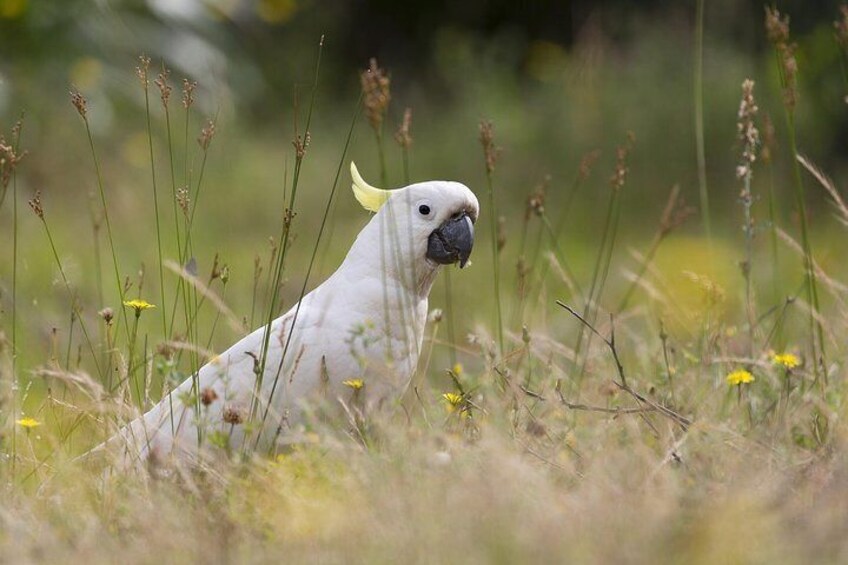 We meet some of the friendly local wildlife