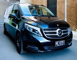 Private Minivan