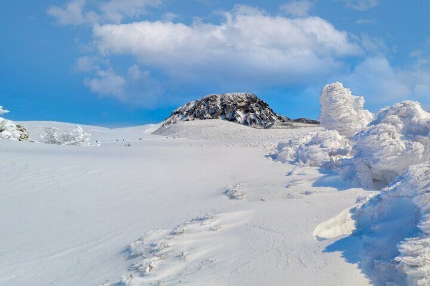 Mt.Halla in Winter 