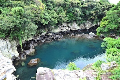 Full Day Customizable Jeju Private Tour with licensed tour guide