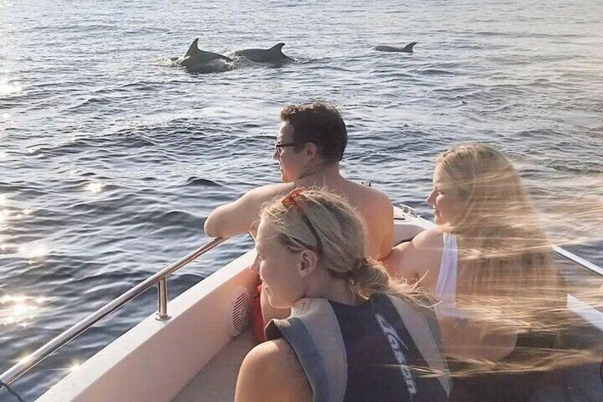 Small group catamaran trip in Marbella with dolphin watching