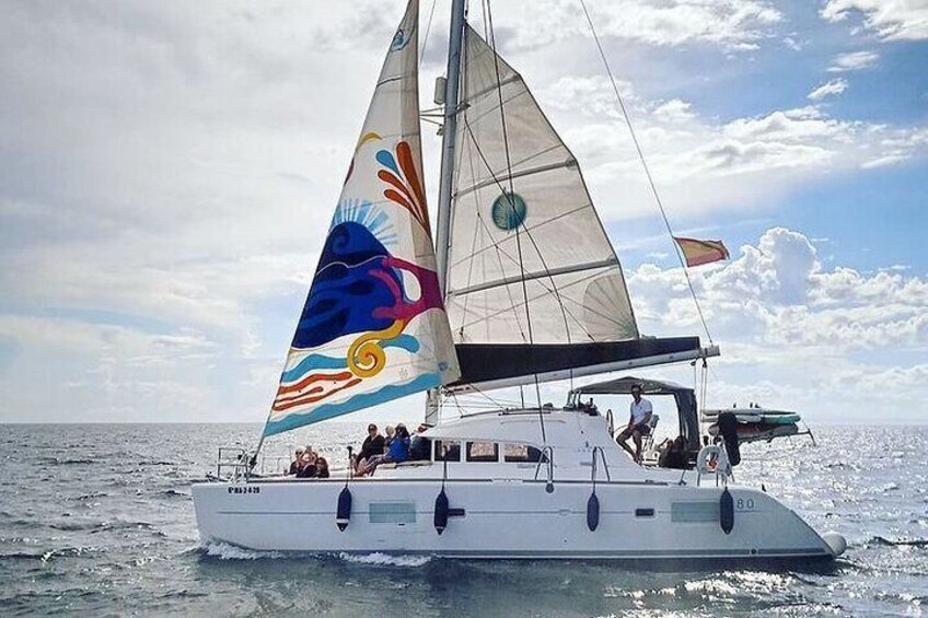 Marbella Small Group Catamaran with Dolphin Watching