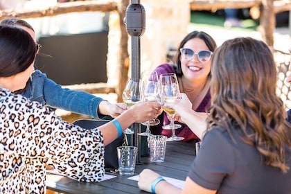 Half-Day Guided Tour of North Texas Wineries and Vineyards with Wine Tastin...