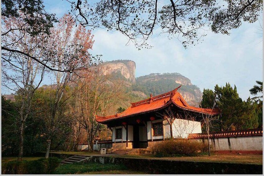 3-Day Private Tour to the World's natural and cultural heritage Mount Wuyi