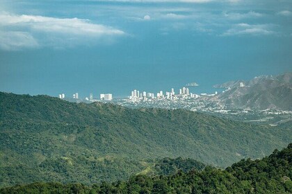 Sierra Minca Day Tour