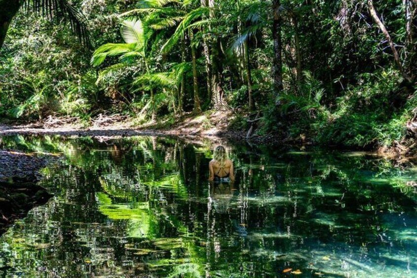 Port Douglas Daintree National Park Boutique Full-Day Tour