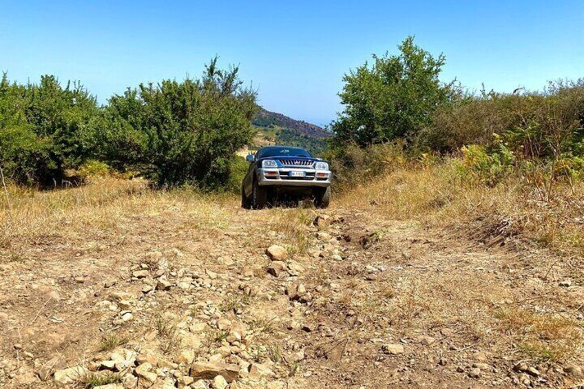  Safari Jeep Wild Adventure