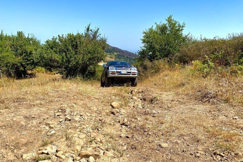 Safari Jeep Wild Adventure