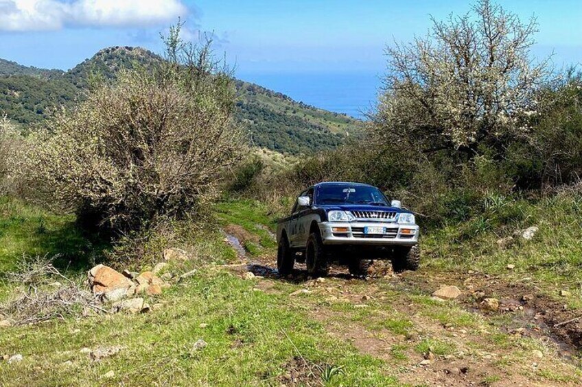  Safari Jeep Wild Adventure