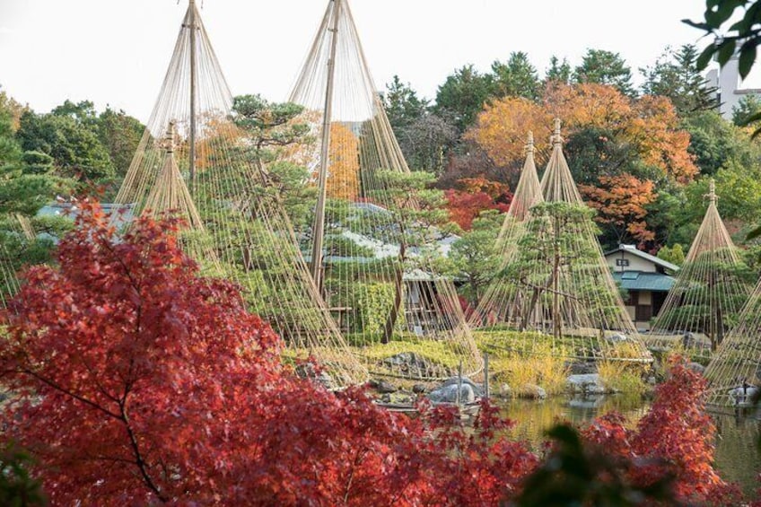 Shirotori Garden