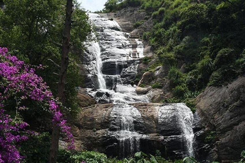 Kodaikanal Sightseeing Tour Package 3 Days & 2 Night