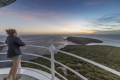 2.5-Hour Sunset at Cape Bruny Lighthouse Tour