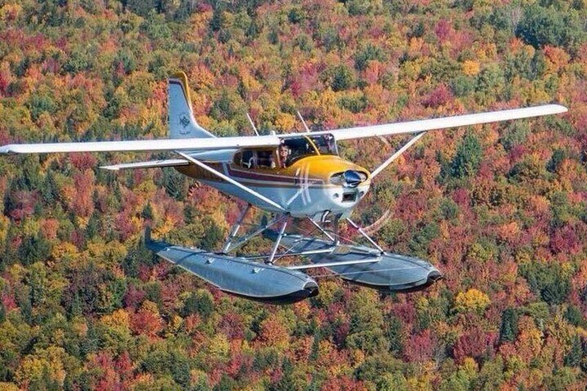 Seaplane Fly & Dine Rangeley Maine