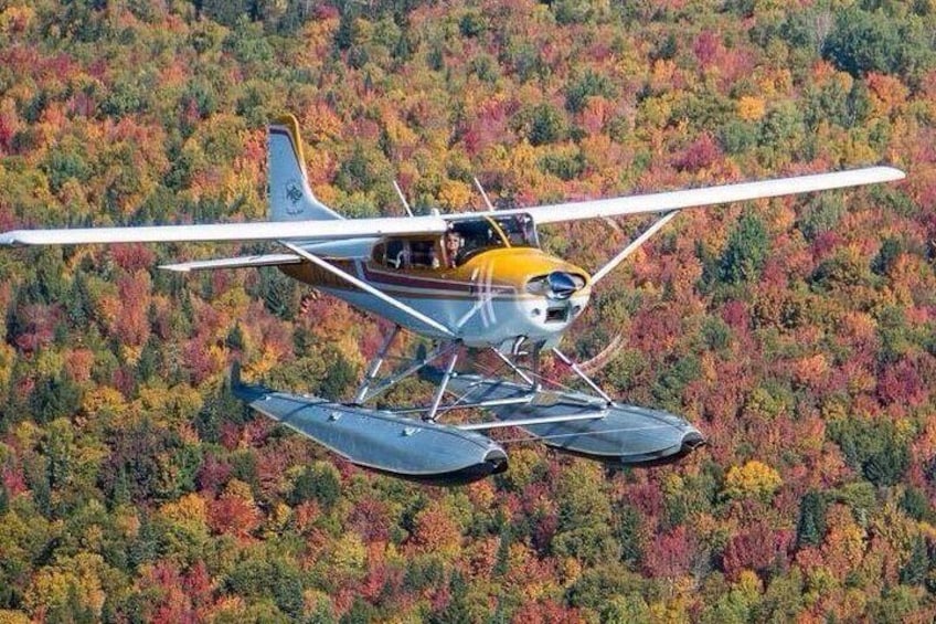 Seaplane Fly & Dine Rangeley Maine