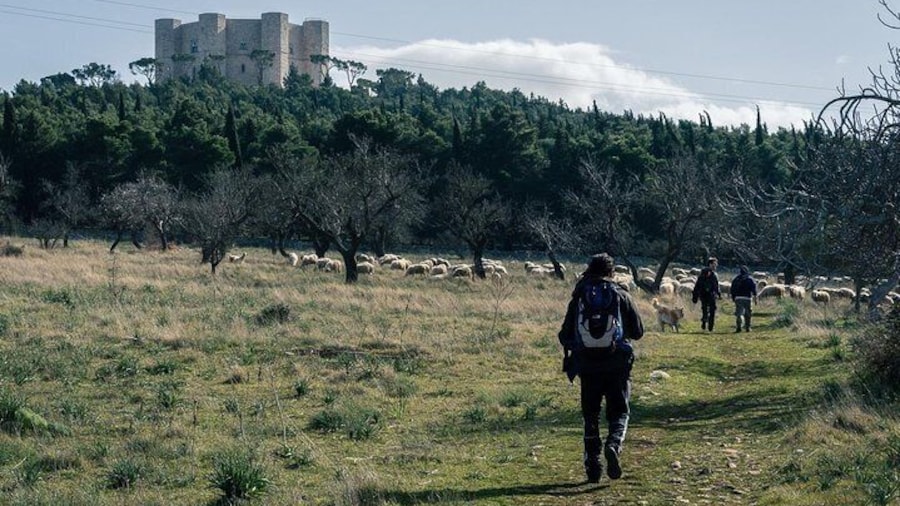 In the shadow of Castel del Monte