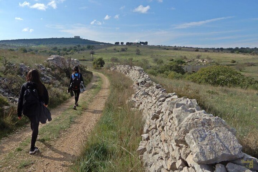 Along the cycle path of the Apulian Aqueduct.