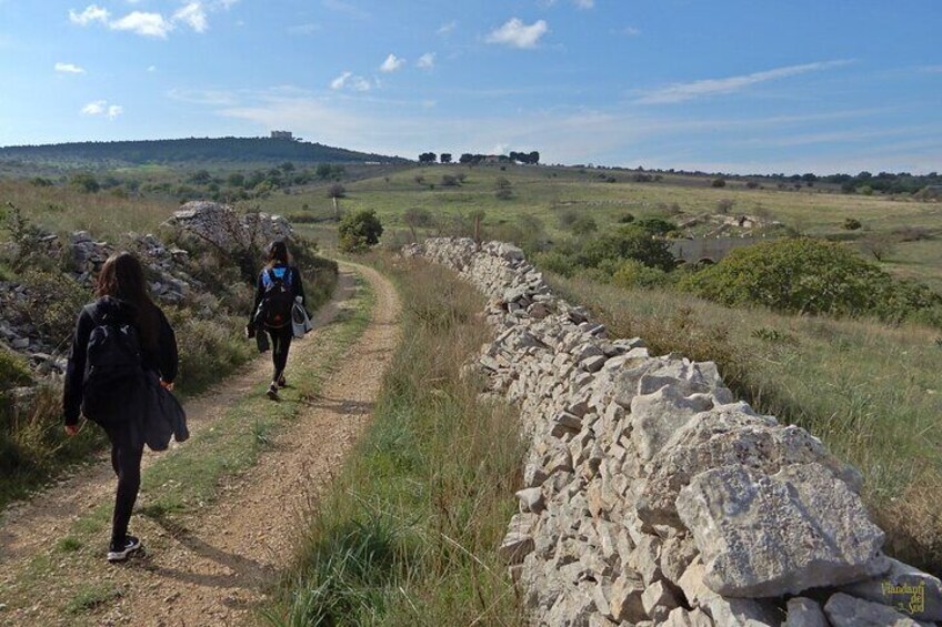 Along the cycle path of the Apulian Aqueduct.