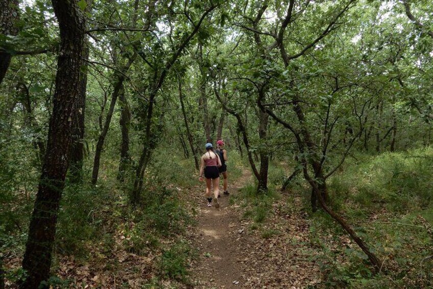 In the Lama Genzana oak grove.