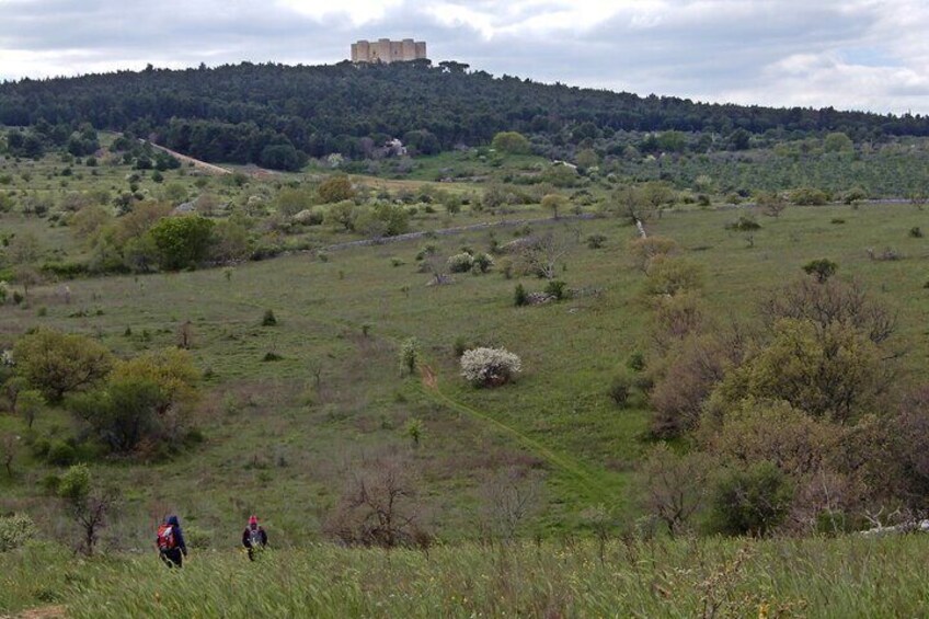 Excursion to Castel del Monte in the Alta Murgia National Park