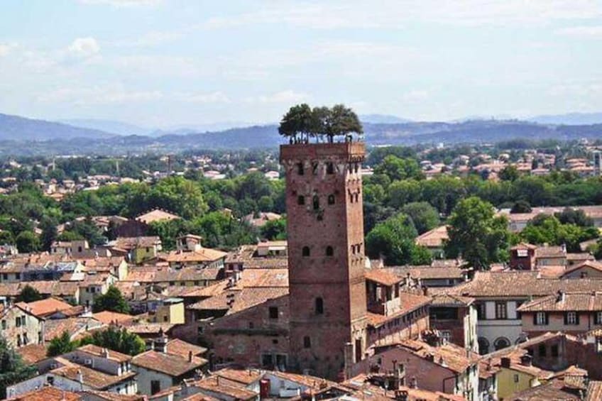 Pisa and Lucca from the Cruise Port of La Spezia