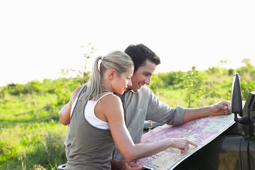 Elephant Safari Adventure: Addo National Park Excursion