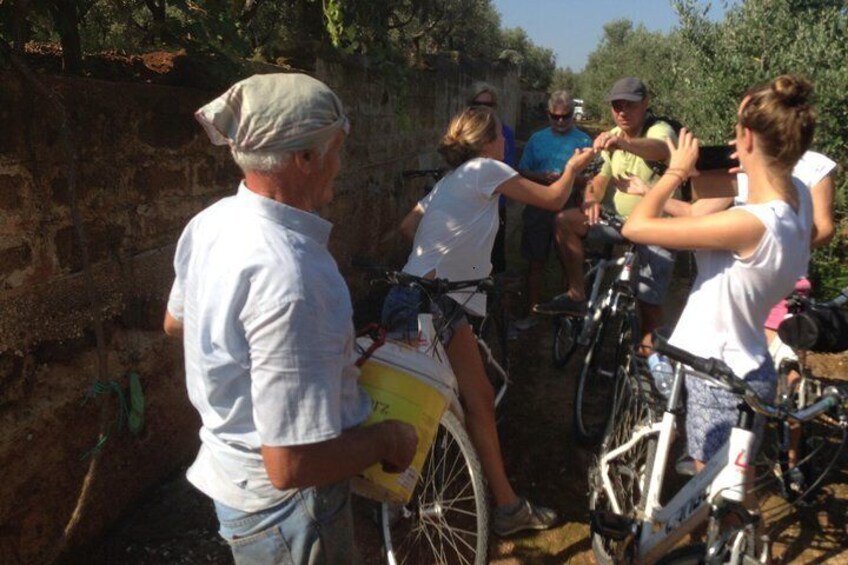 Masseria's Bike Tour with Vegetarian Lunch