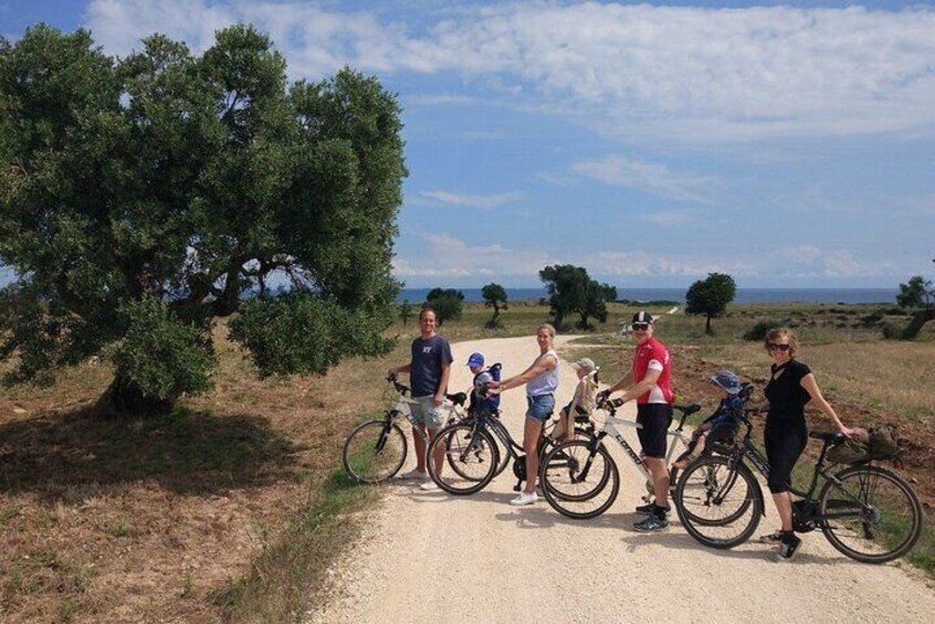 Private Bike Tour with Olive Oil Tasting