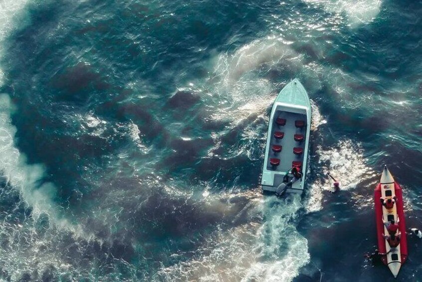 Parasailing, Jet Ski + 3 other water sports at North Goa