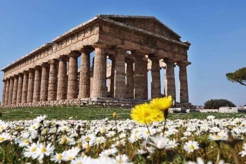 Day trip from Salerno: Paestum and its temples - private tour