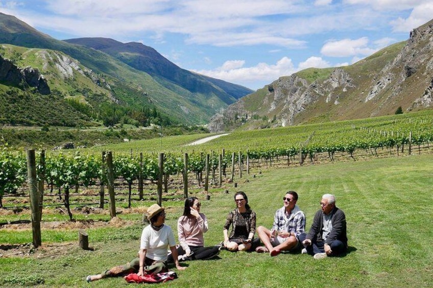 Gibbston Half-Day Private Wine Tour with Hotel Pickup