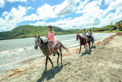 Paseo a caballo y natación