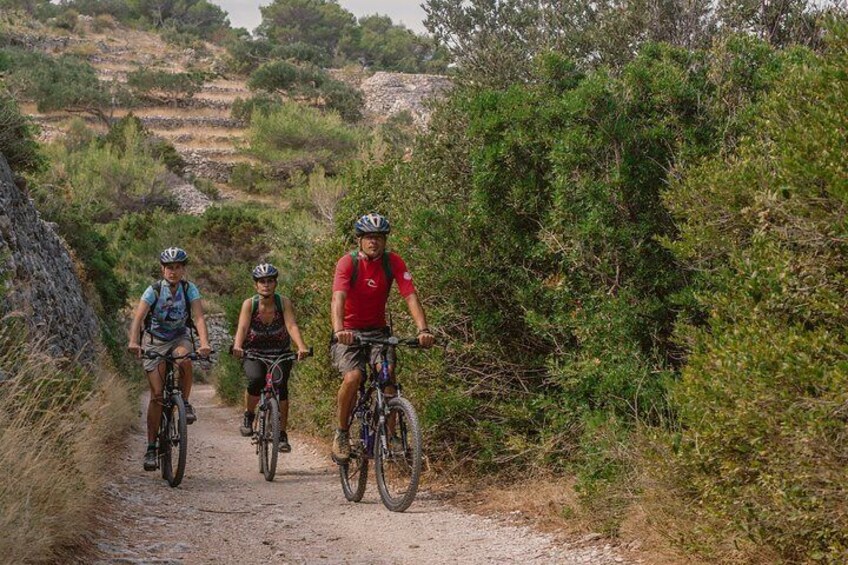 Biking Supetar – Lovrečina