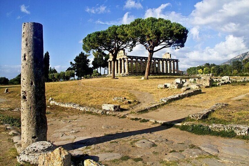 Paestum Temples and Museum Skip the Line Private Guided Tour with a Local Guide