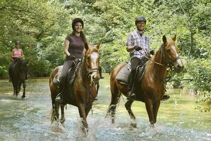 7-Days Horse Riding in Tuscany