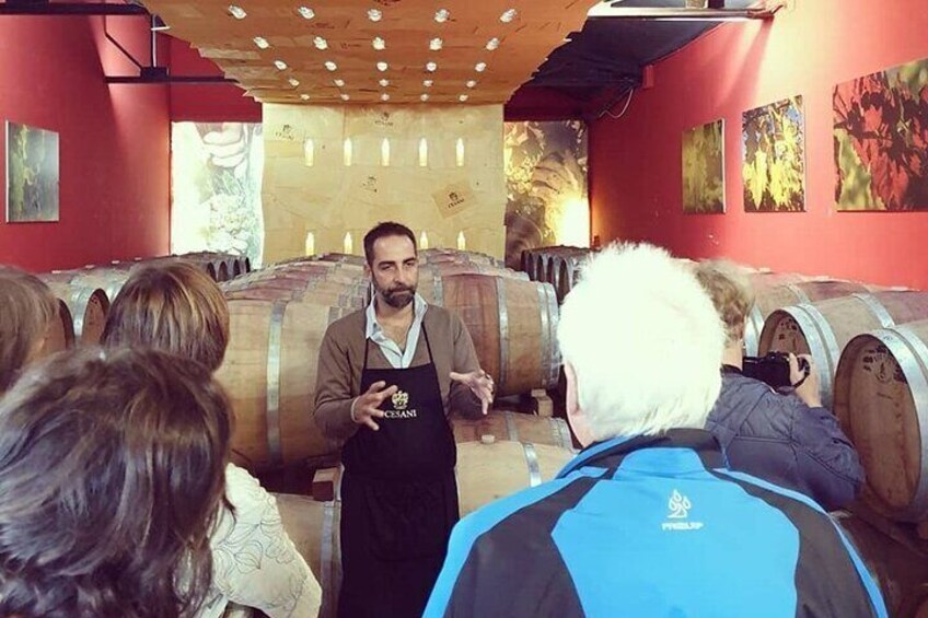 Cellar Tour